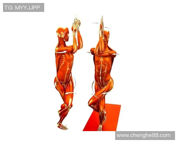 瑜伽用品精选全指南从基础装备到进阶配件帮助你提升练习效果