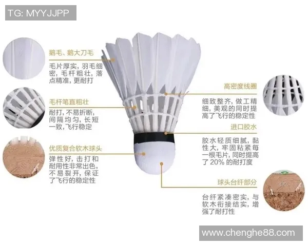 武汉羽毛球队技术分析与发展探讨聚焦羽毛球运动的未来趋势与挑战 武汉羽毛球队技术分析与发展探讨聚焦羽毛球运动的未来趋势与挑战