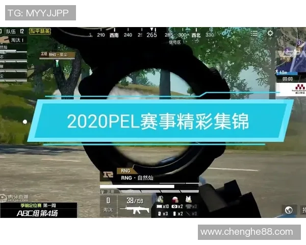 RNG在和平精英中的反击之路与策略得失分析 RNG在和平精英中的反击之路与策略得失分析